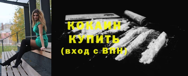 трава Арсеньев