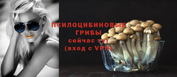 трава Арсеньев