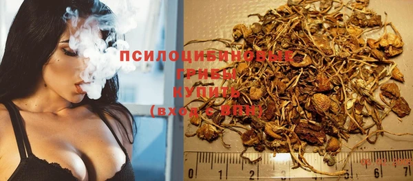 трава Арсеньев