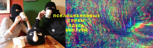 амф Аркадак