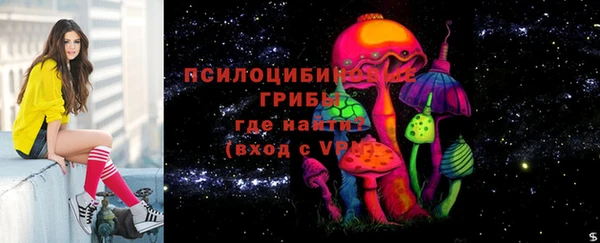 амф Аркадак